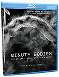 Minute Bodies