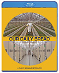 Our Daily Bread