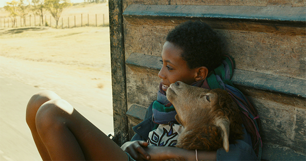 film still