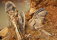 Bones of Contention Still