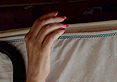 Rocio